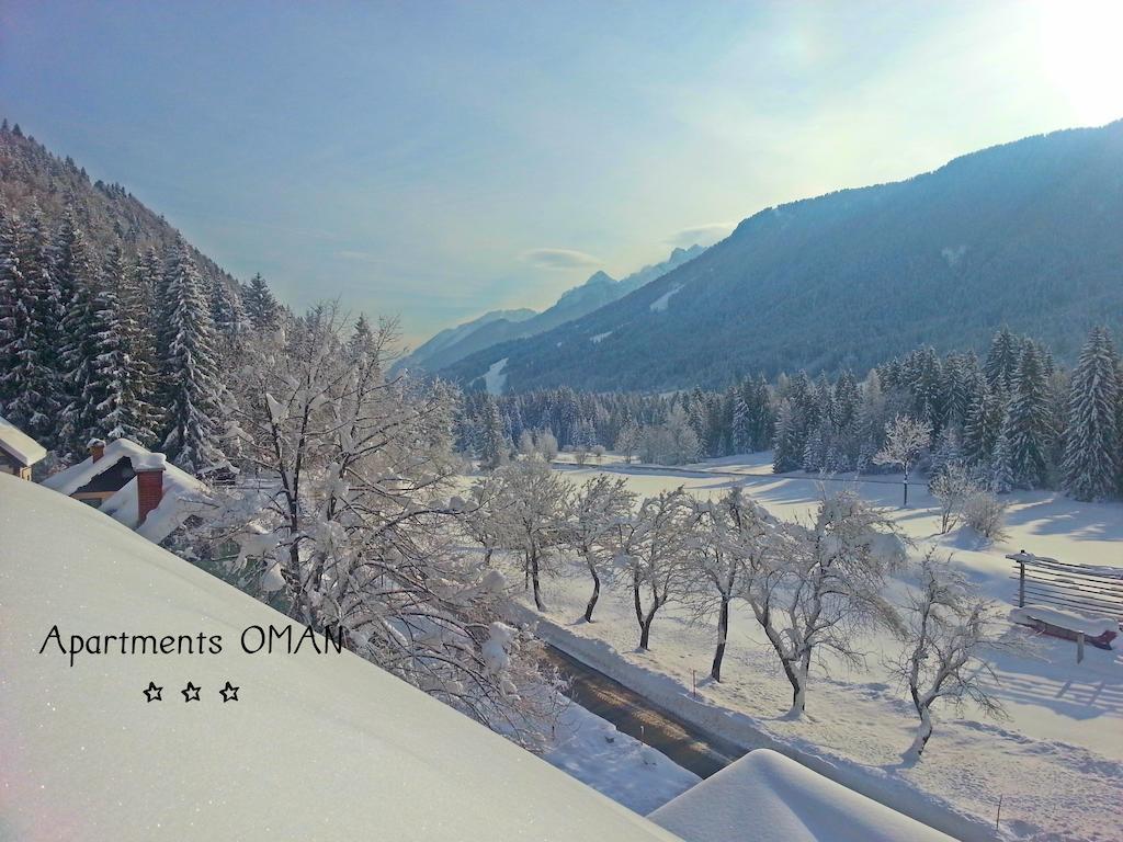 Oman Apartment Kranjska Gora